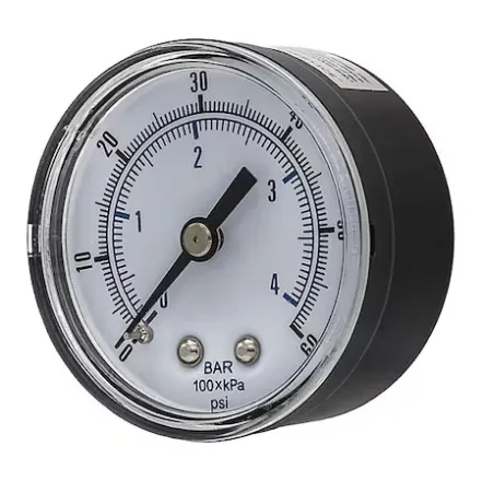 PIC GAUGES SEP-102D-204D-BSPT