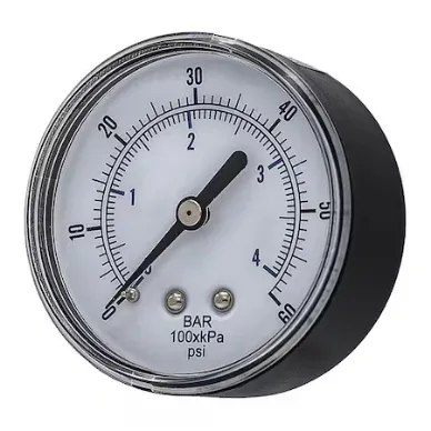 PIC GAUGES SEP-102D-254D-BSPT