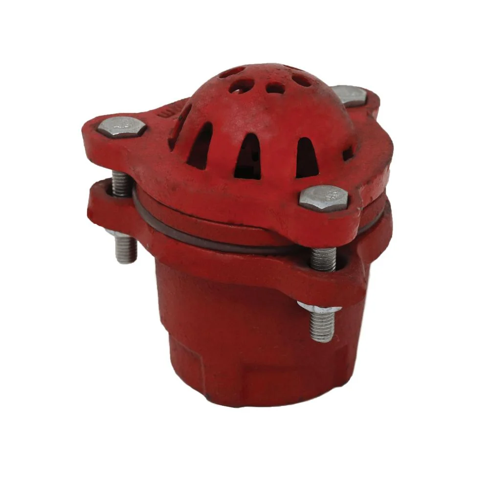 PT COUPLING Check and Foot Valves