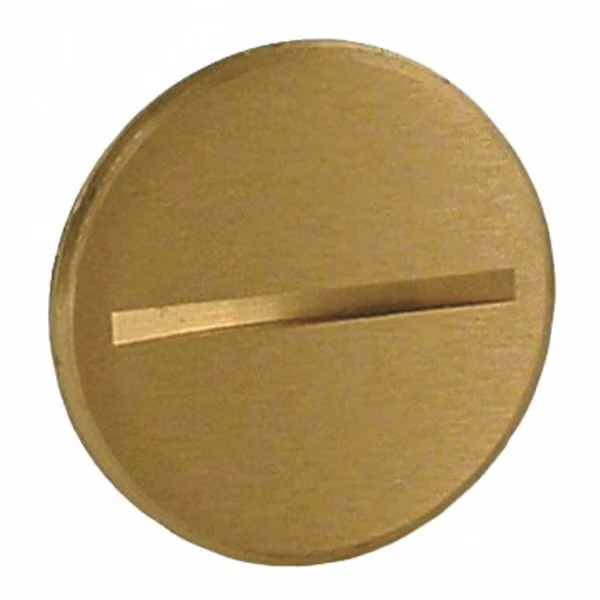 Flush Plug, 3/4 Inch Size, 6287 6291 Cover
