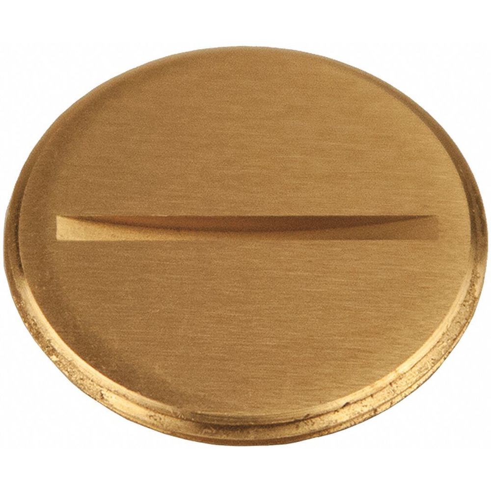 Round Brass Flush Replacement Plug