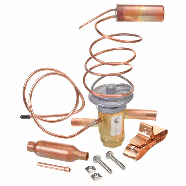 RHEEM Check and Foot Valves