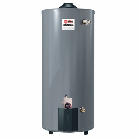 RHEEM G100-80