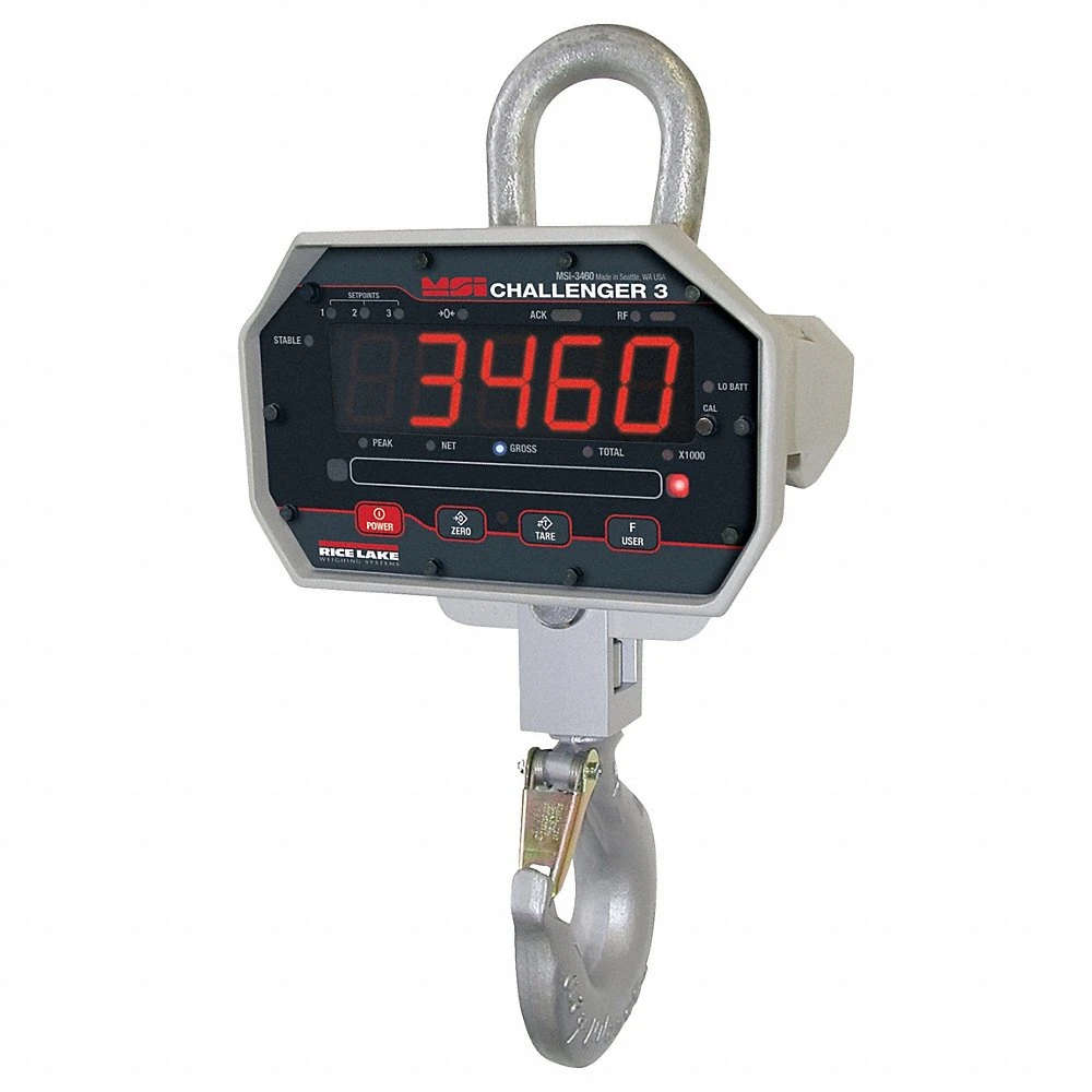 RICE LAKE Crane Scales and Dynamometers