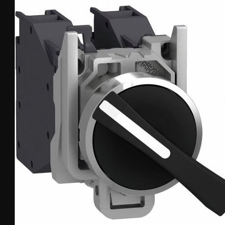 SCHNEIDER ELECTRIC XB4BJ21GEX