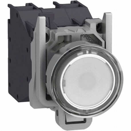 SCHNEIDER ELECTRIC XB4BP183BM5GEX