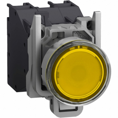 SCHNEIDER ELECTRIC XB4BP583BM5GEX