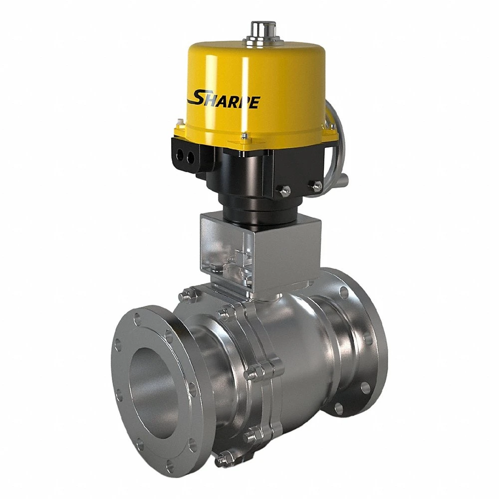 Electrically Actuated Two-Way Ball Valve, 2 Inch, CF8M Stainless Steel, 120V, Two-Piece
