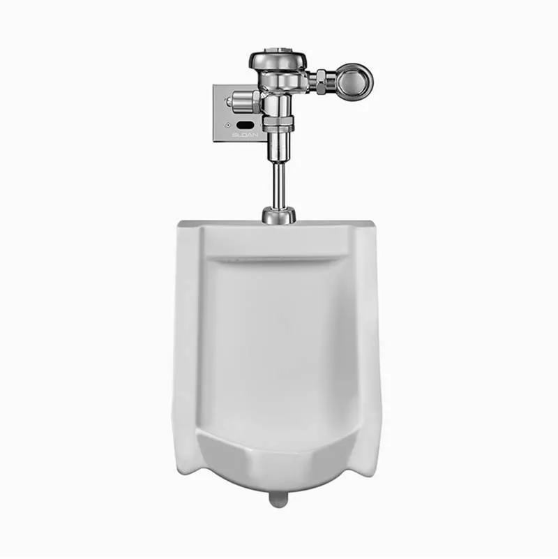 SLOAN 10061331 Urinal and Flushometer | BQ2PER
