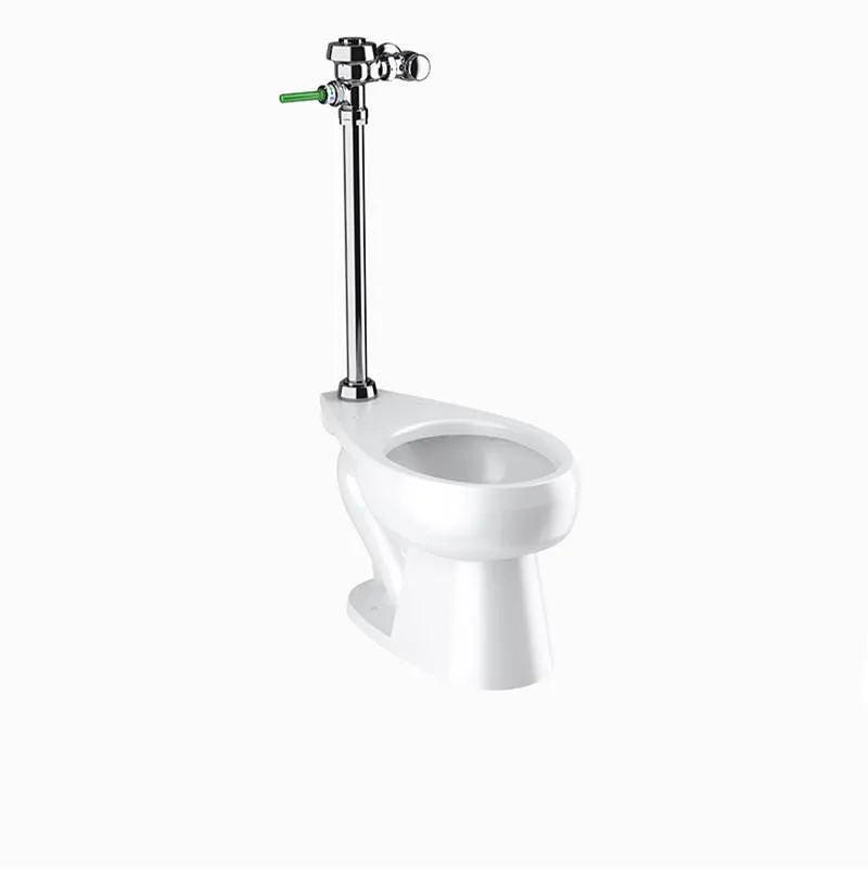 SLOAN 20021020 Flushometer And Closet | BQ2BHQ