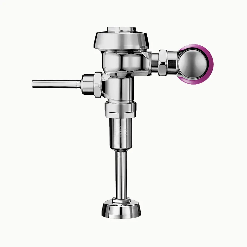 SLOAN 3012670 Single-Flush Manual Exposed Flushometer, Polished Chrome | BR6GUX