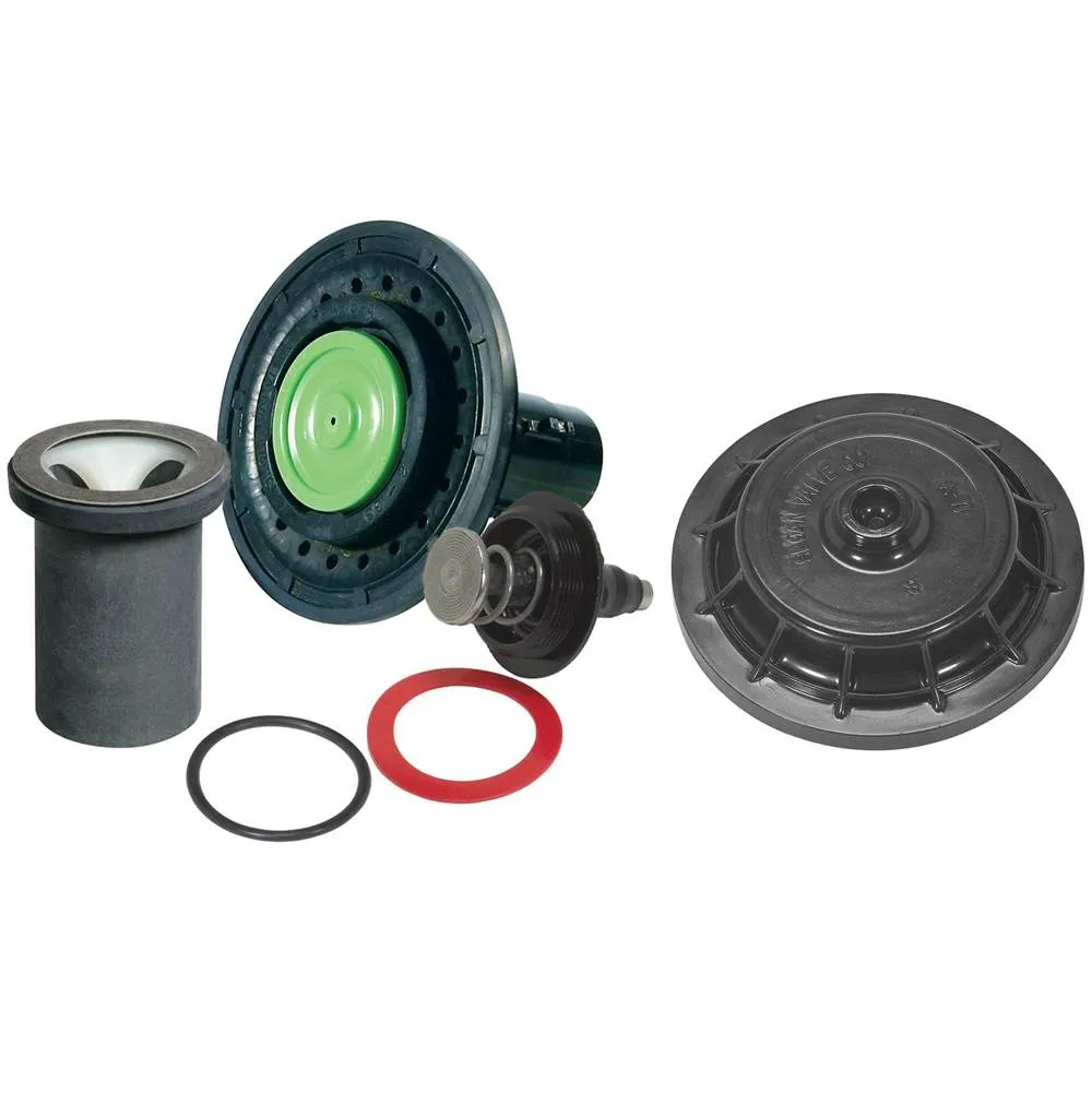 SLOAN 3317030 Tune-Up Kit, 1.0 Inch Size | BT3JNL