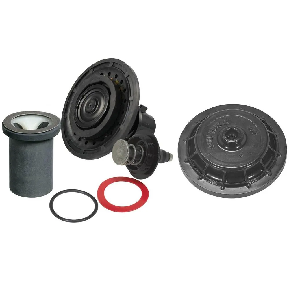 SLOAN 3317031 Tune-Up Kit, 0.5 Inch Size | BT3JNM