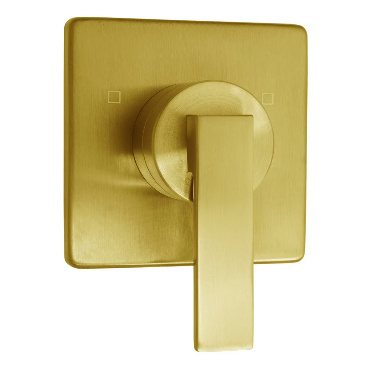 SPEAKMAN CPT-1123-BBZ Transfer Valve Trim | CD9ZLF