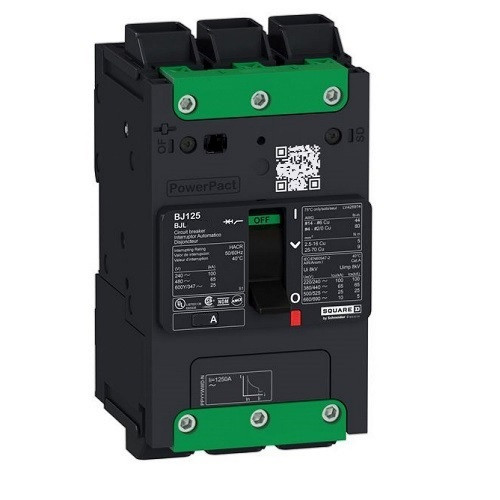 SQUARE D BDL26100 Molded Case Circuit Breaker, 100A, 2 Poles | CE6GYT 482D24