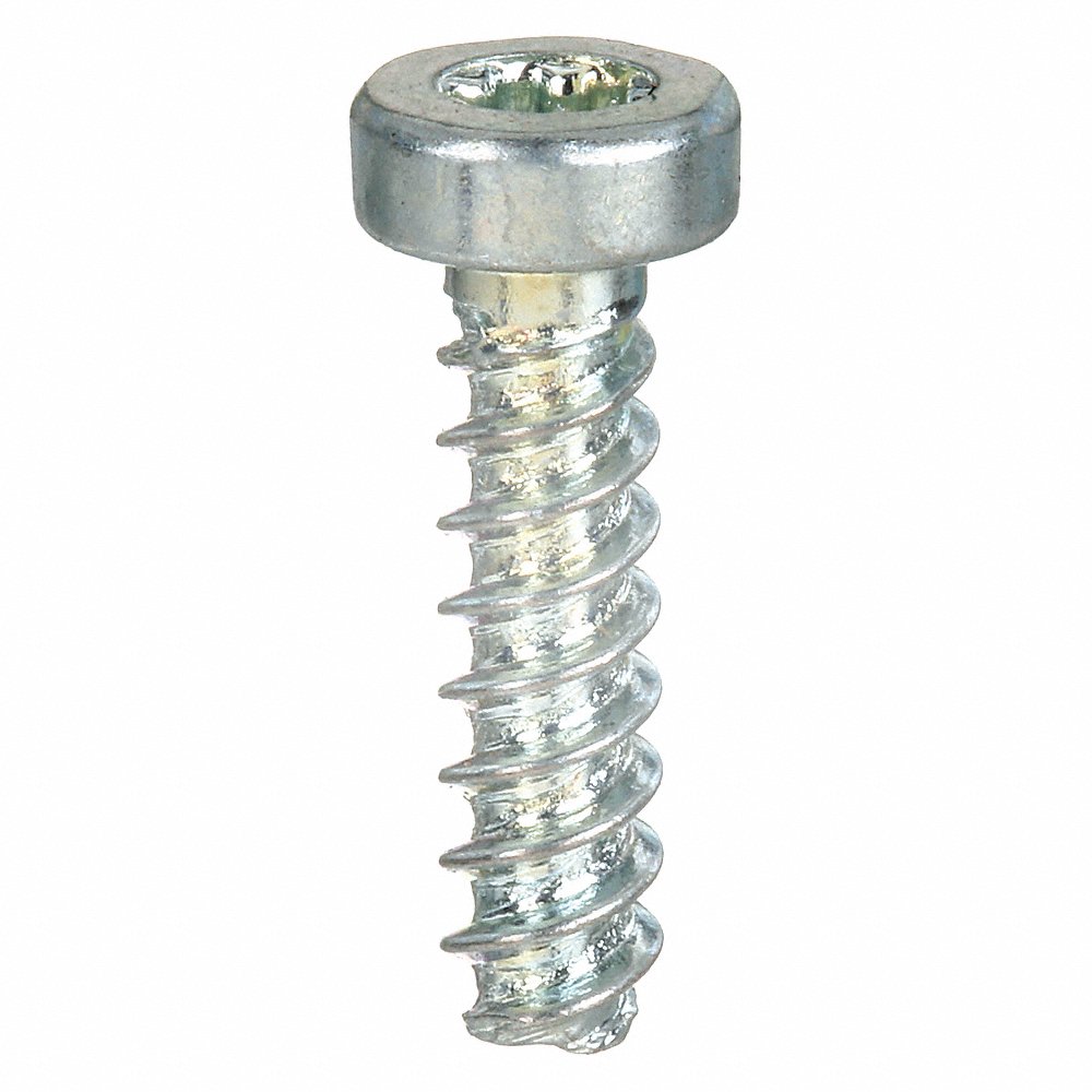 TAMPER-PRUF SCREW 460050