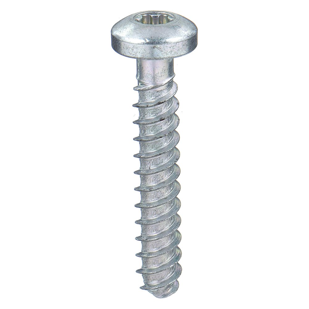 TAMPER-PRUF SCREW 460400