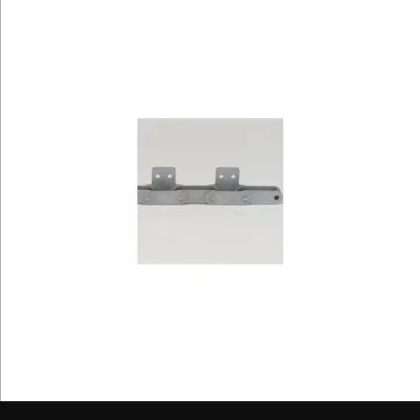 TSUBAKI C2050SA21LRB