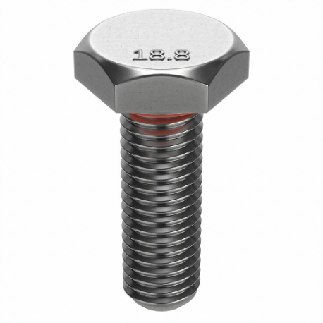 Bolt, 1/4 In - 20 Thread Size, SS, 1 In Lg., 5/32 In Head Ht., 1/2 In Head Wd.