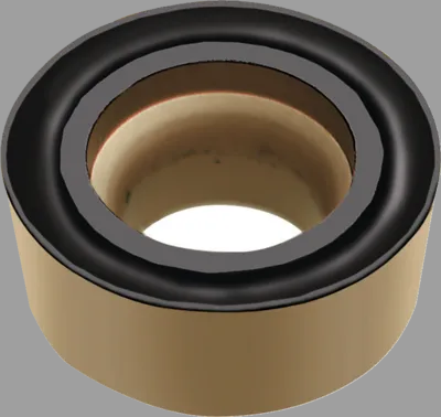 WALTER TOOLS RCGT0502M0-PF5 WS10