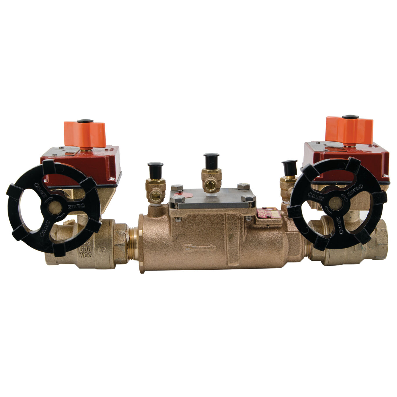 WATTS 1 1/2 2000BM2-FP