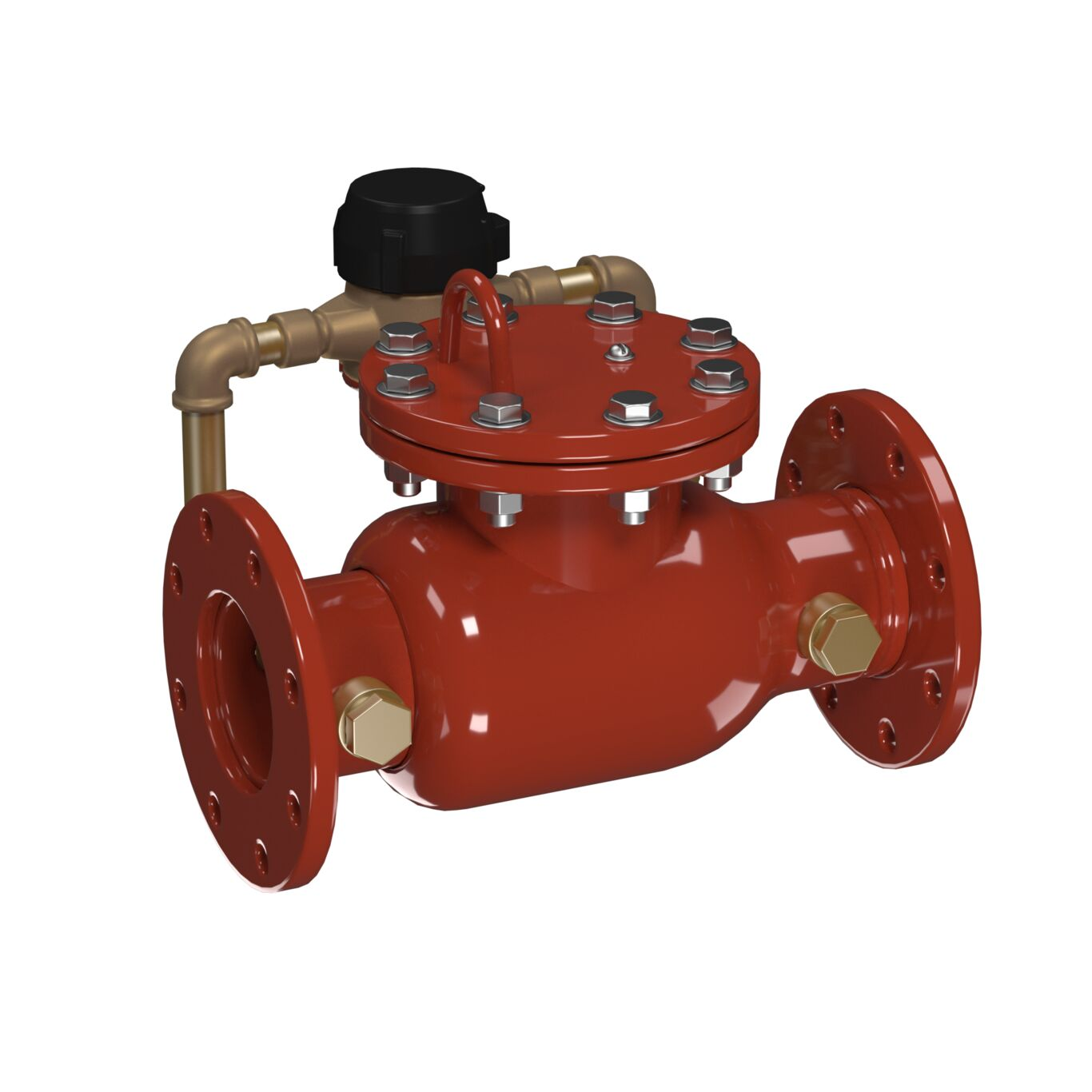 WATTS 1000DCV-EPX-NJ-GPM 4