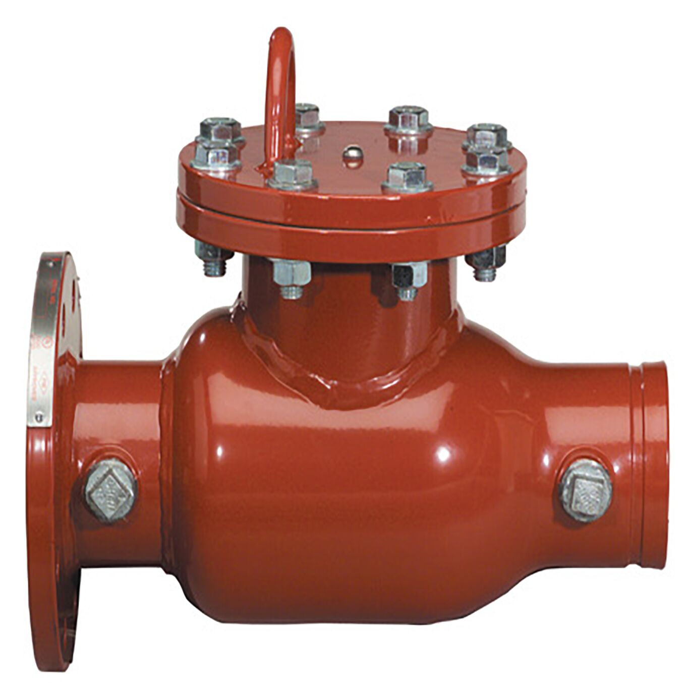 WATTS 1005DCV-FXG 4 WATTS 0690612 | CC9LGQ 0690612