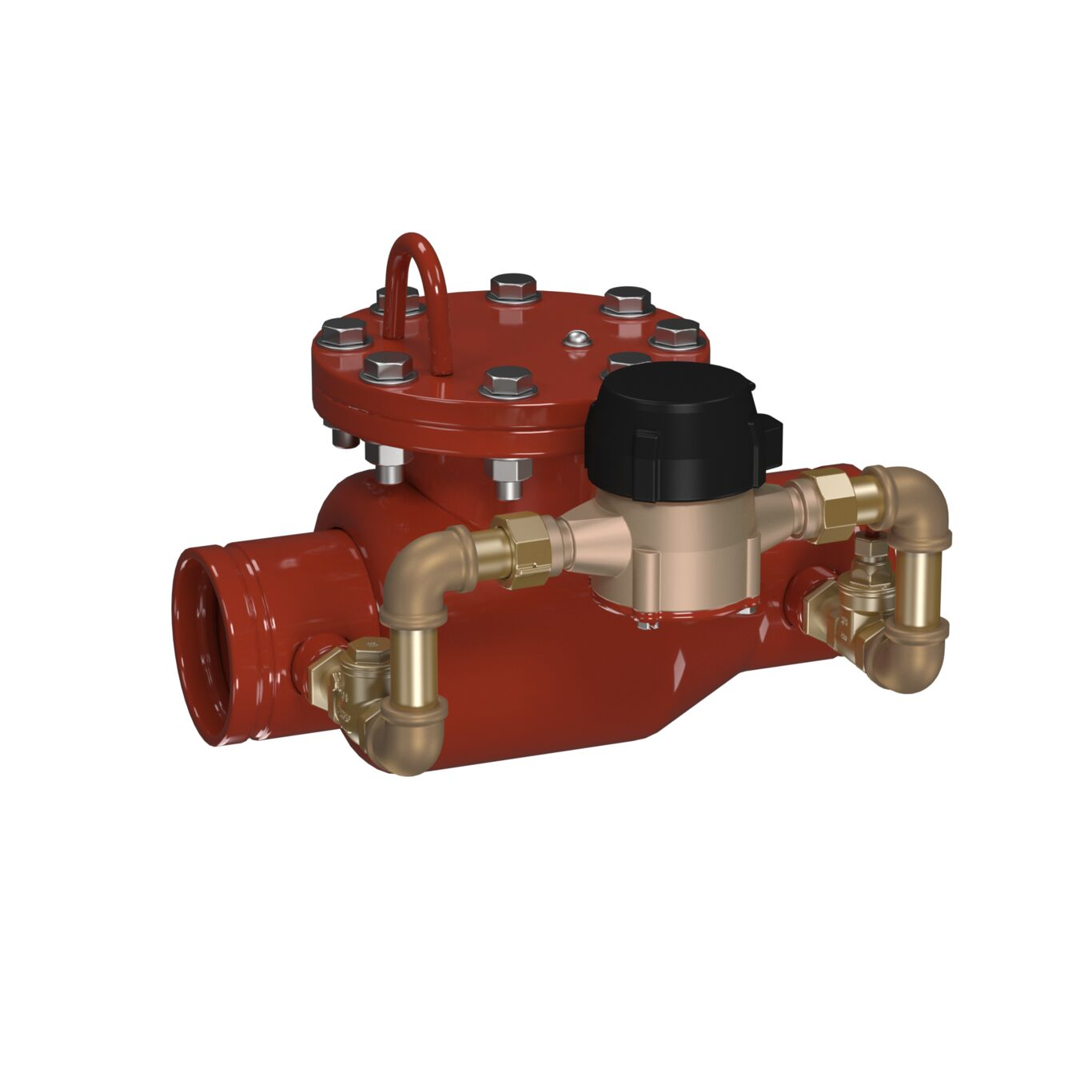 WATTS 1010DCV-GRVXGRV-GPM 4