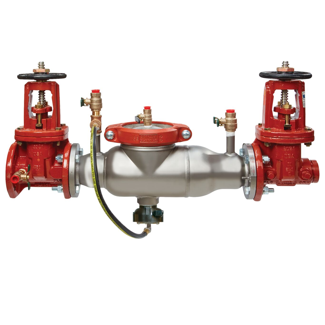 WATTS 4000SS-DOSY-FXG-FS 10 2