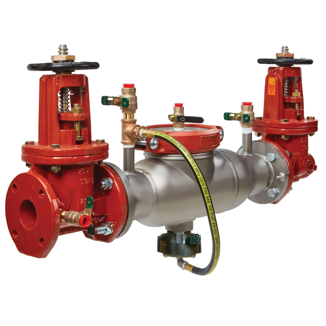 WATTS 4000SS-DOSY-FXG-FS 10