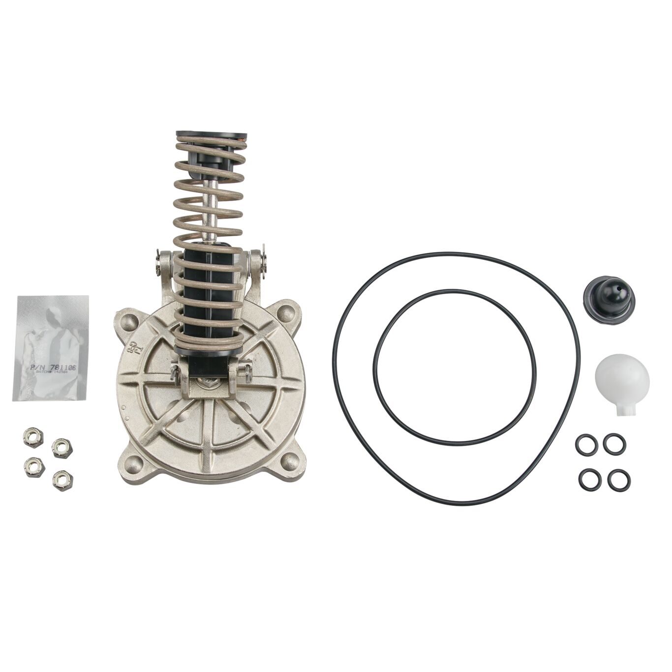 WATTS 8X6/8X6V-CK2 4 Second Check Kit, 4 Inch Size | CD2DXC 905613