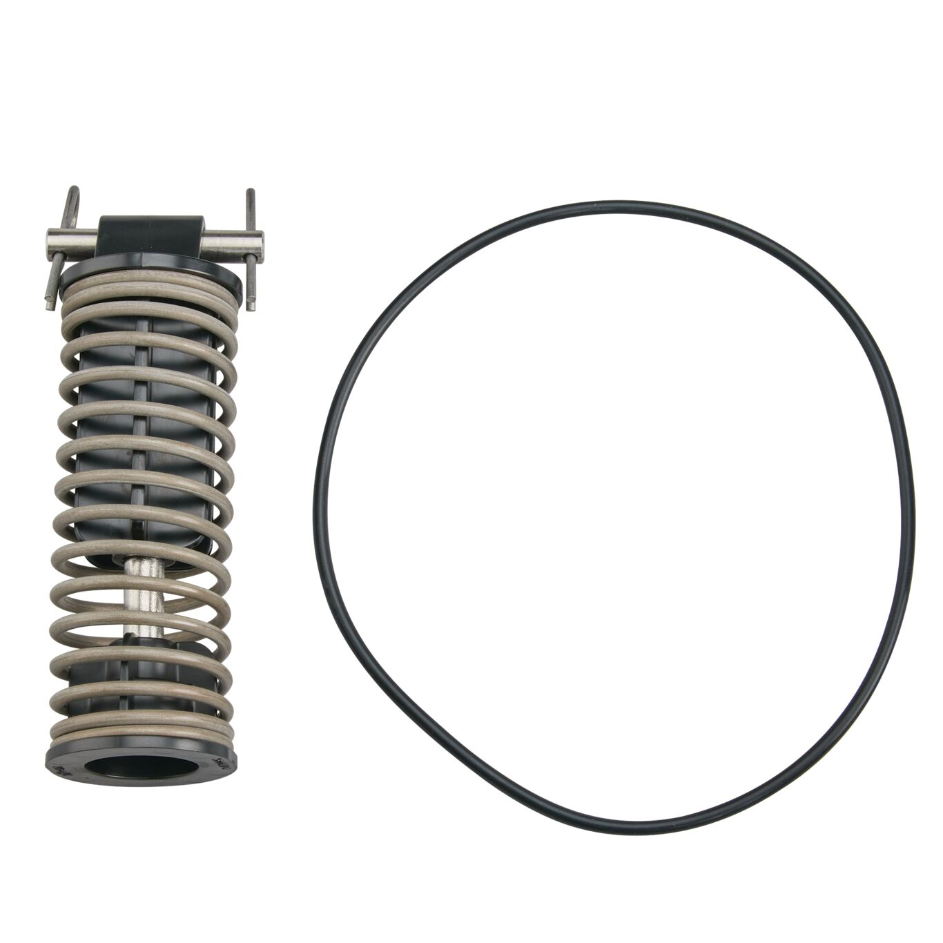 WATTS 8X6/8X6V-SM 21/2-3 Spring Module Kit, 2 1/2 To 3 Inch Detector Assembly | CC6QQX 905608