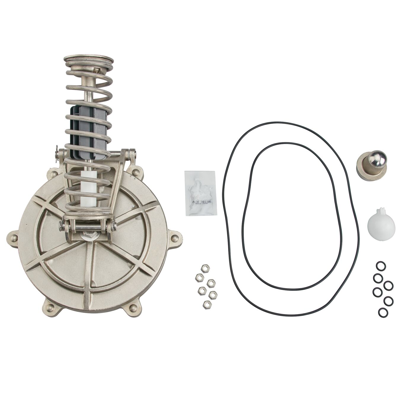 WATTS 8X6-CK2 8-10 Second Check Kit, 8 To 10 Inch Detector Assembly | CC6QRB 905615