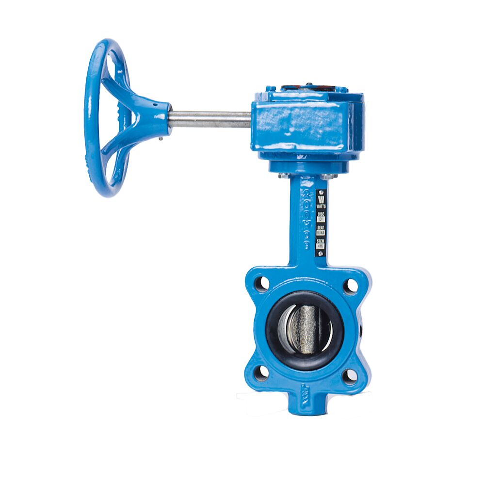 WATTS DBF-04-111-2G-M2 2 2