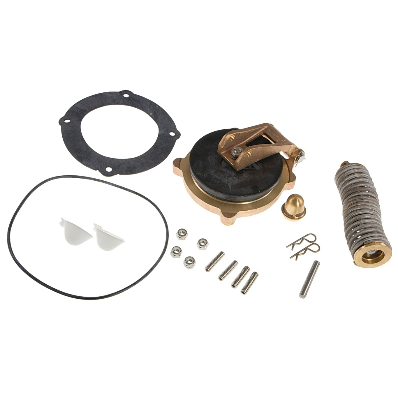 WATTS FRK 860-CK1 4 First Check Kit, 4 Inch Size | CC6QQC 905546