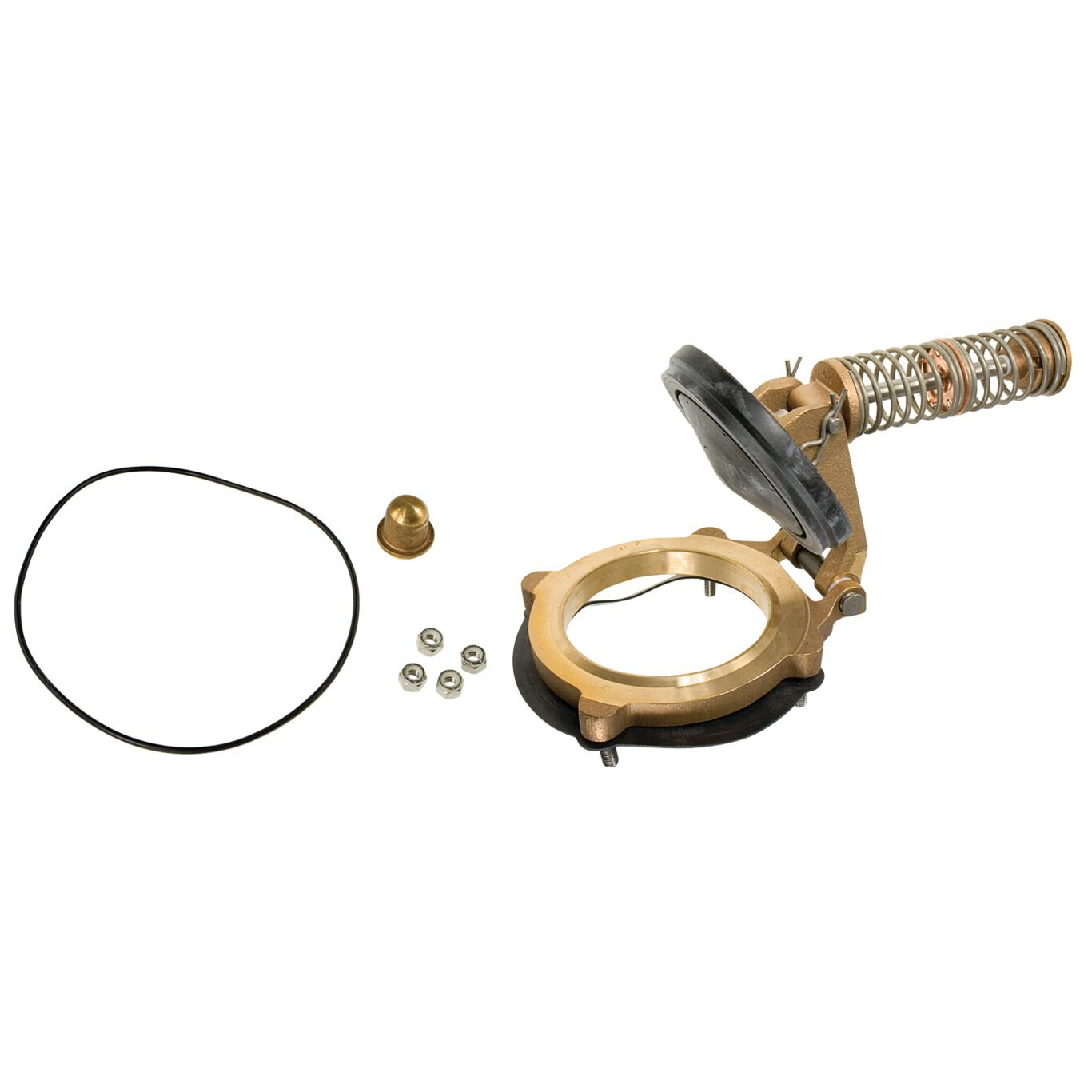 WATTS FRK 880V-CK2 4 Second Check Kit, 4 Inch Size | CC6QQH 905549