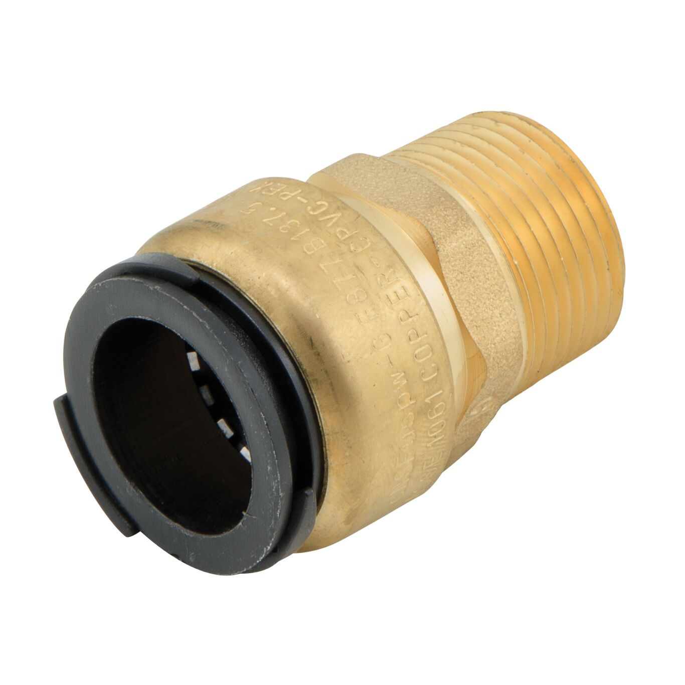 WATTS LF4701-1816 Male Connector, 1 Inch Inlet, 13.8 Bar Pressure | BR4GPX 0472015