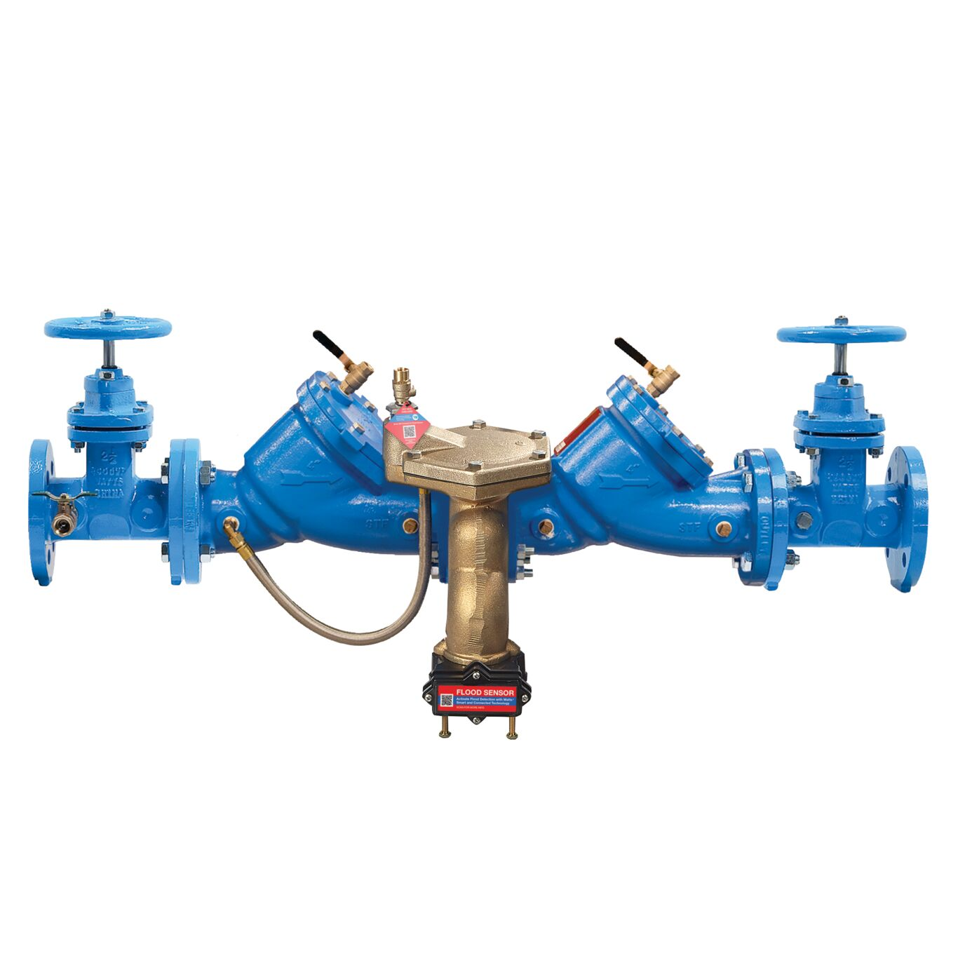 WATTS LF909-DNRS-FS 2 1/2