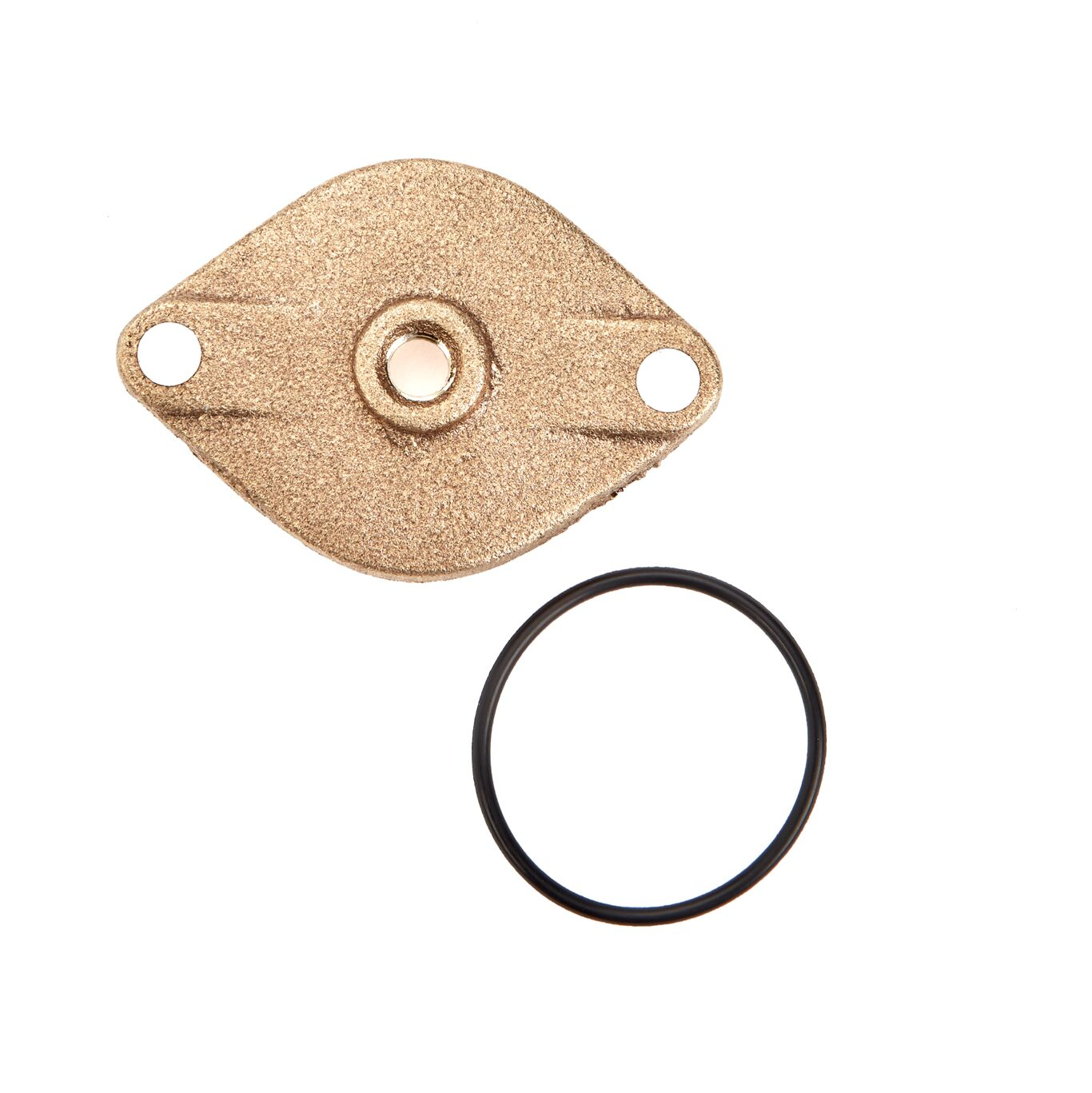 WATTS LFRK 007M3-C 3/4 Double Check Valve Cover Kit | CB3JXT 0794005