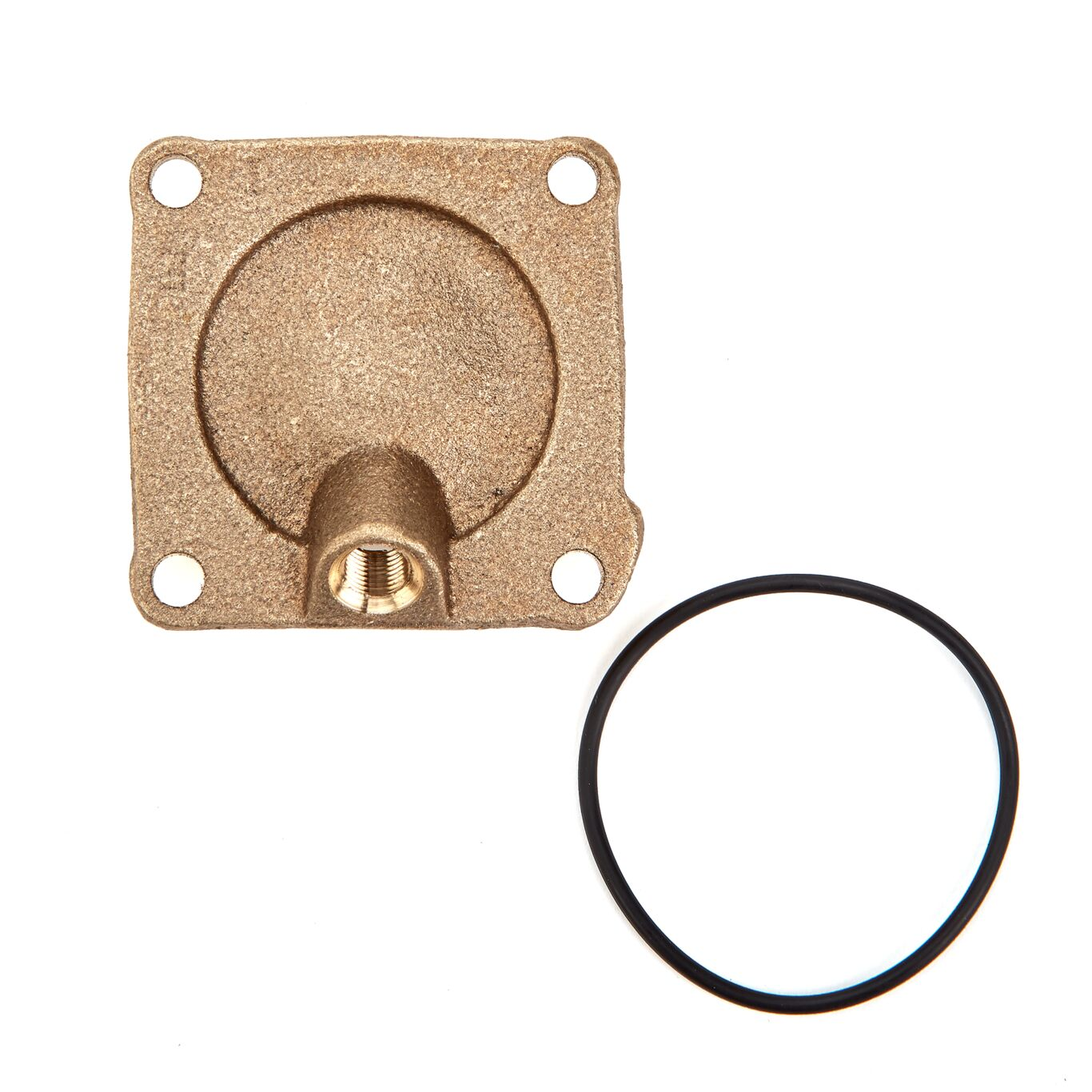 WATTS LFRK 909-C1 3/4-1 2