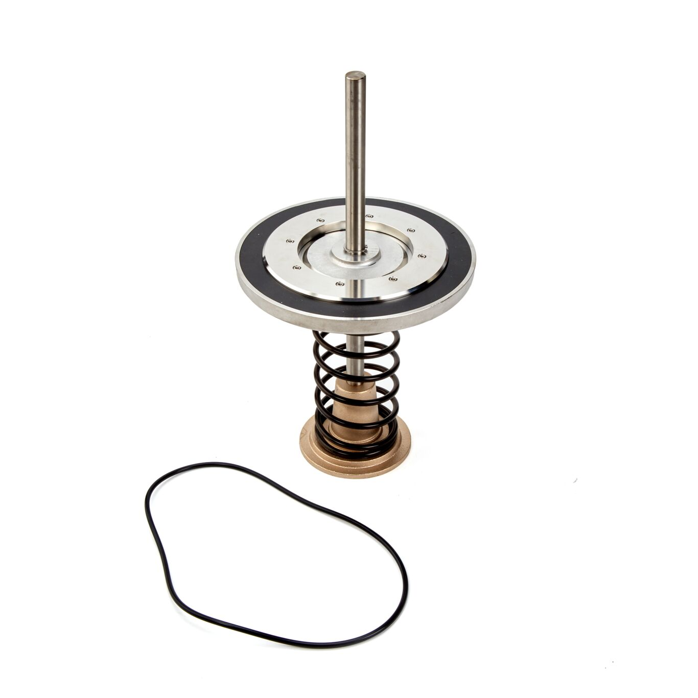 WATTS LFRK 909-CK2 10 Reduced Pressure Zone Assembly Check Repair Kit, 10 Inch Size | CB3JYL 0794105