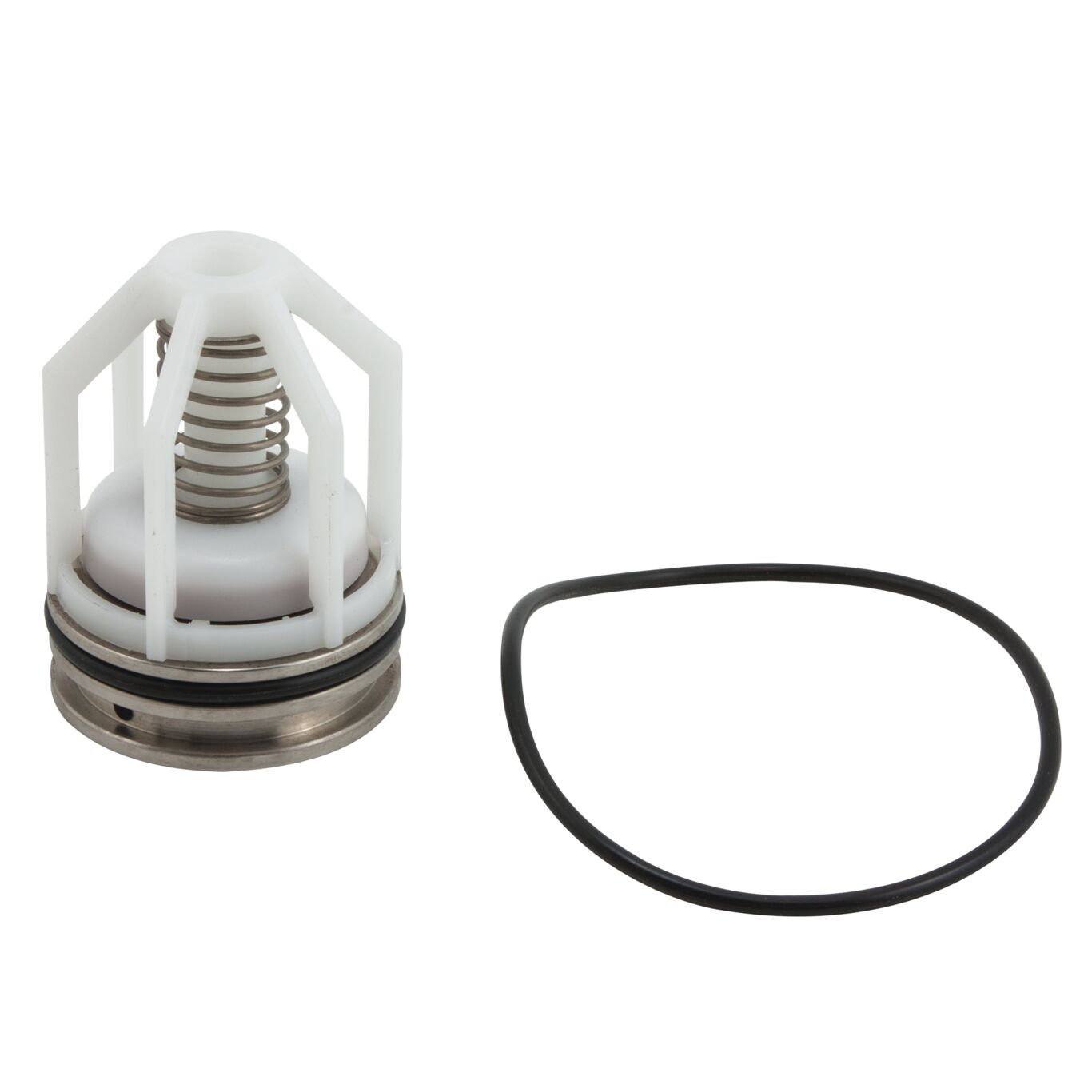 WATTS RK 007M1-CK4-SS