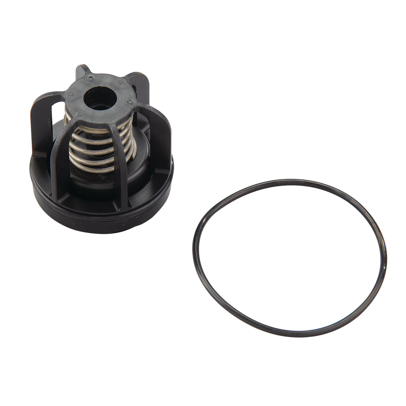 WATTS RK 009M3-CK1 3/4