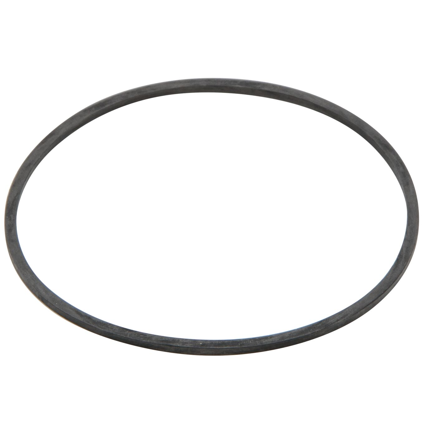 WATTS RK 777SI-GASKET 2