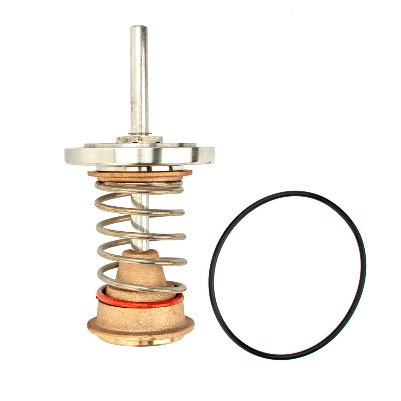 WATTS RK 993-CK1 4 Check Kit, 4 Inch Size | CC2RPT 0888040