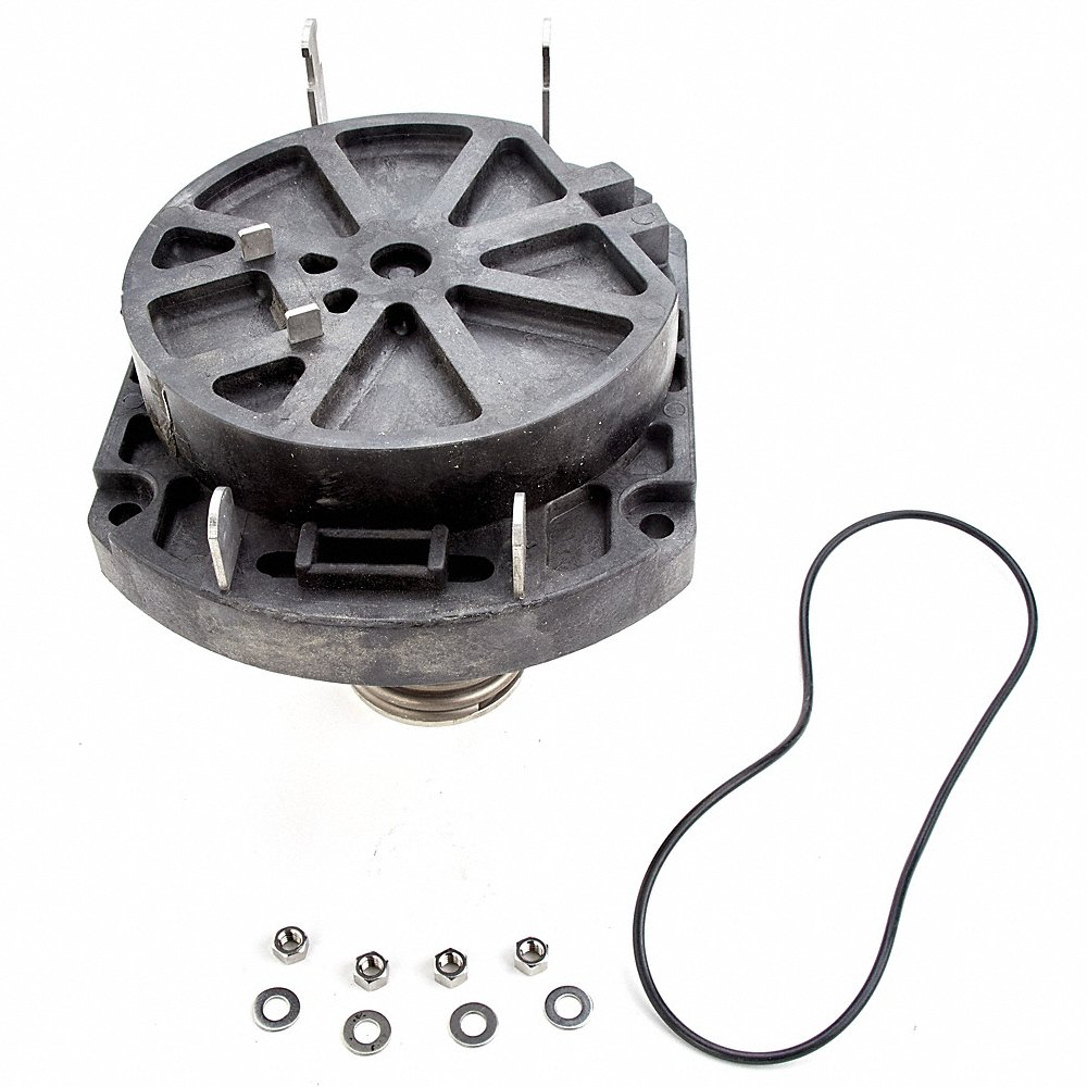 WATTS RK 994/994RPDA-CK1 8-10 Check Kit, 8, 10 Inch Size | BZ3VPN 0888832