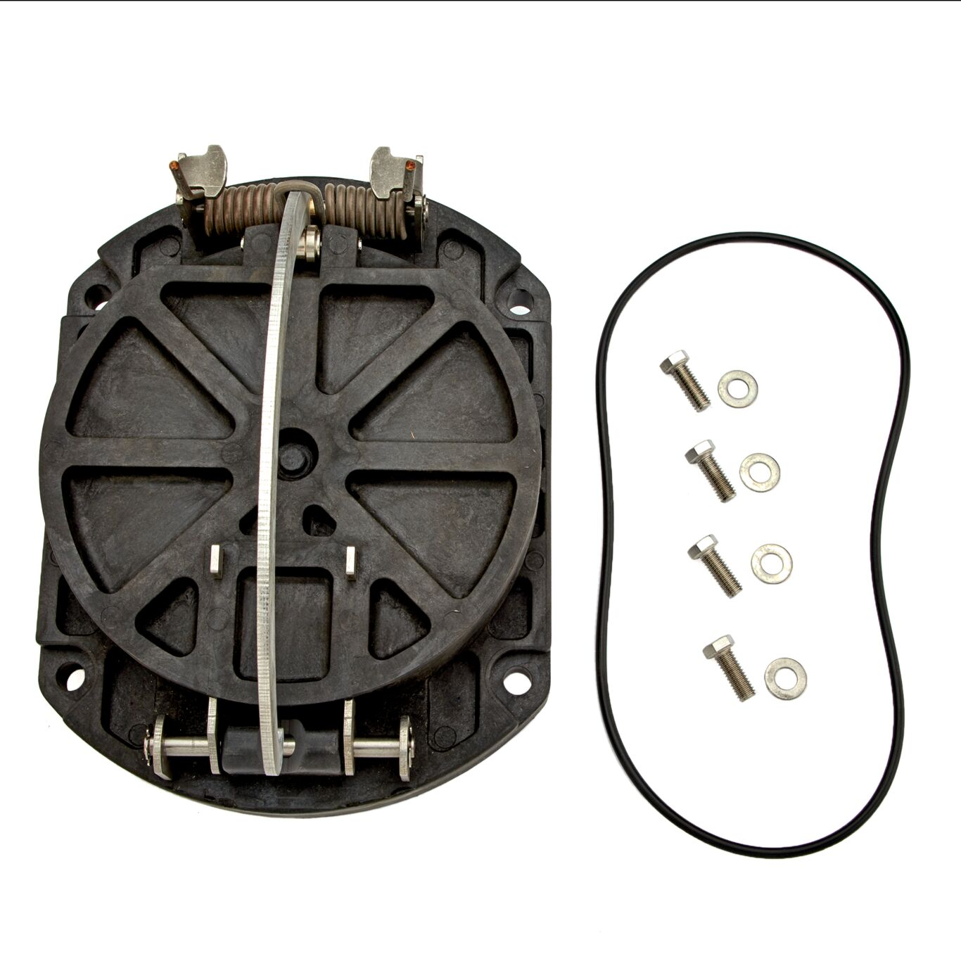 WATTS RK SR774/DCDA-CK2 8 Check Kit, Red Silicon Soft Seat, 8 to 10 Inch Size | BZ3VRF 0888965