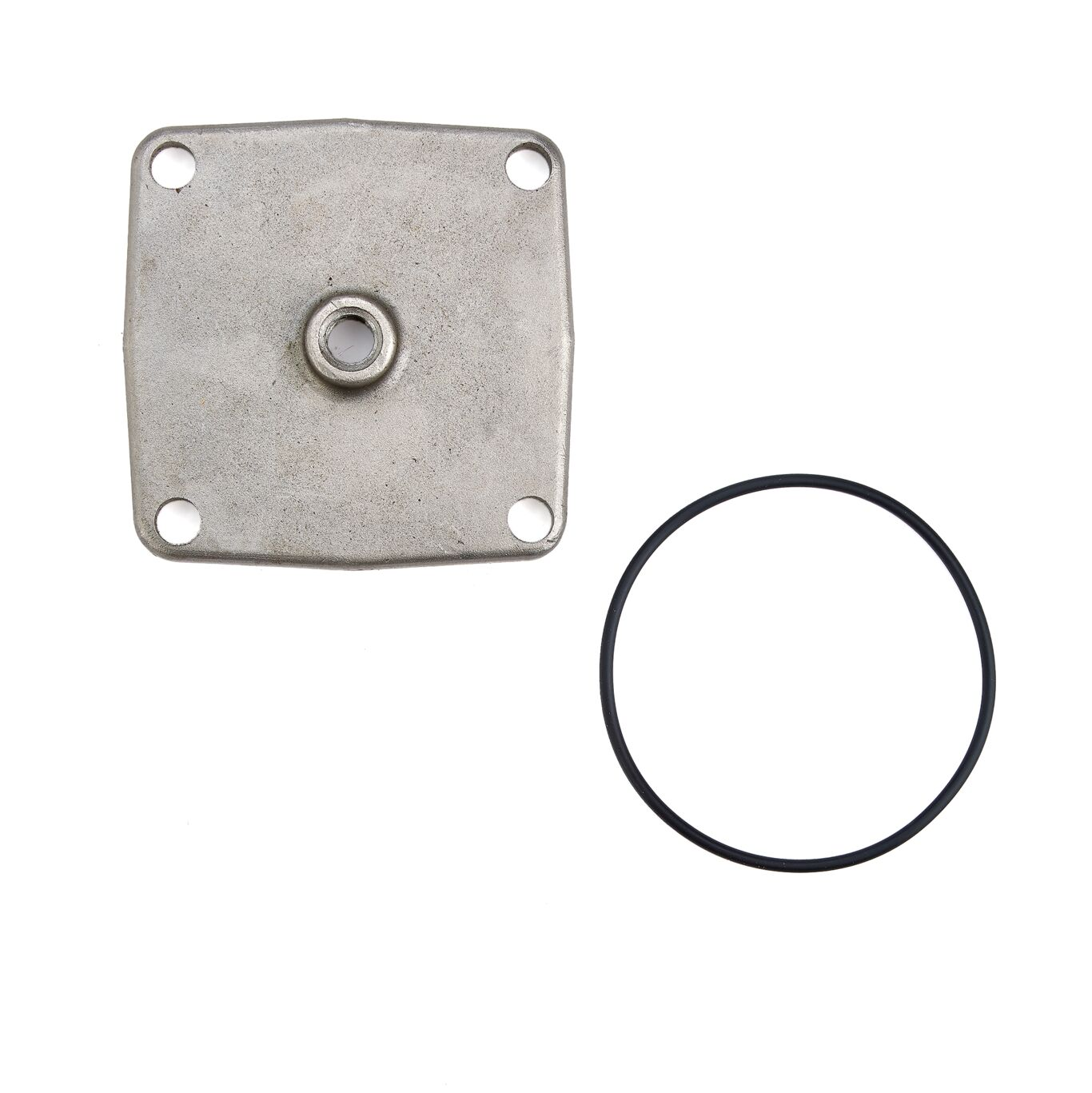 WATTS RK SS007M1-C Backflow Cover Repair Kit,1 Inch Size | BY4YXP 0887381