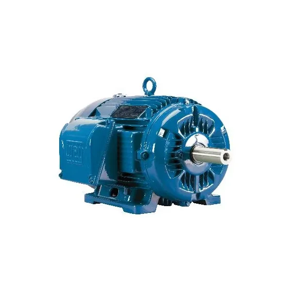 WEG 02512ET3E324T-W22G Electric Motor, 25Hp, 60Hz, 1200 Rpm | BB8DVJ
