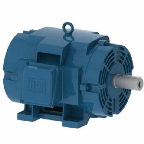 General Purpose Motor, ODP Cast Iron 364/5T Frame, 60 HP, 1484 RPM, 415V, F-1 Mounting